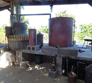 Historische Destillierkessel im Garten der Domaine