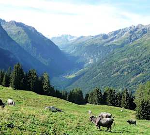 Wandern Kaunertal