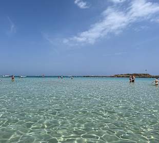 Fig Tree Bay