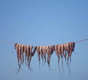 Osmiornice na Nisyros