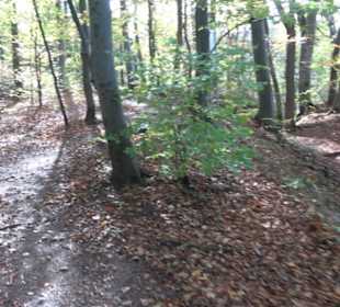 Höllenlöcher Hohenneuffen