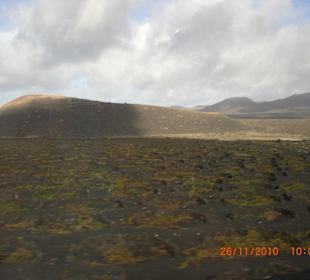 Ausblick vom Bus auf die Feuerberge Timanfaya