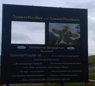 Neunerköpfle