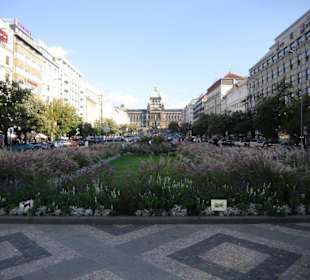Wenzelsplatz-Panorama
