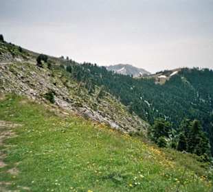 Plateau vor dem Berggipfel