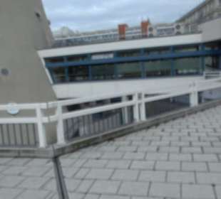 Körperwelten im Menschen Museum