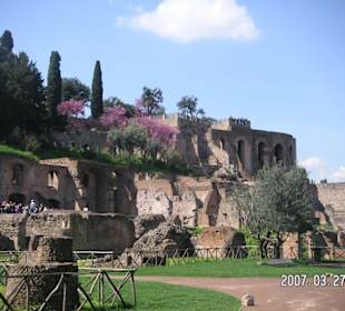 Ruinen am Hang des Palatin