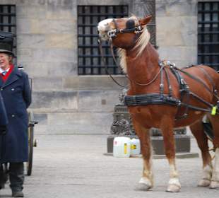 Pferdekutscher am Dam