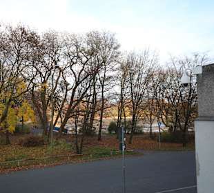 Blick zum Dutzendteich