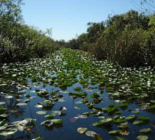 Everglades Safari Park