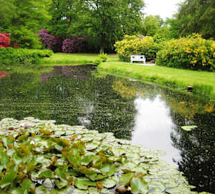 Schlosspark Lütetsburg