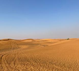 Wüsten Safari 