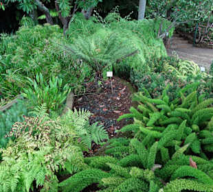 Rundgang durch den Botanischen Garten von Funchal