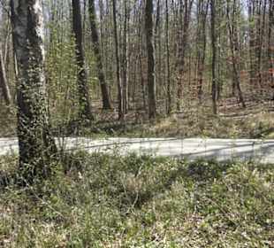 Sport- und Freizeitpark Markwasen