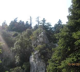 Viel Wald - Umgebung der Wasserfälle