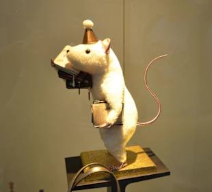 Queen Victoria Building