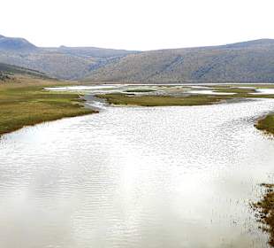 Cotopaxi Nationalpark