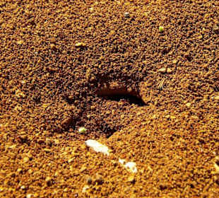 Burg von Alanya (Ic Kale) An- und Abfahrt