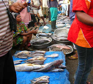 Fisch - Einkauf