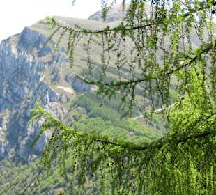 Monte Baldo Wanderung
