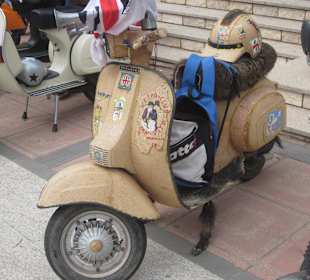 Vespa auf Sardisch