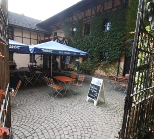 Gastro