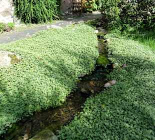 Wasserlauf im Bibelgarten