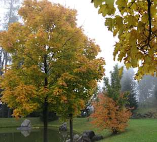 Herbst
