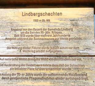 Lindbergschachten