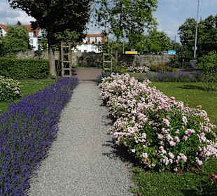 Stadtgarten Radolfzell 