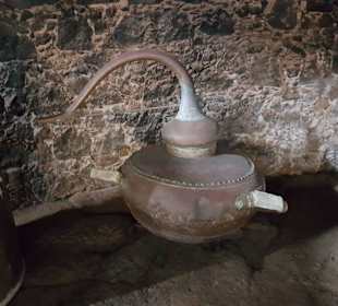 Weinmuseum und Kakteen-Ausstellung El Grifo