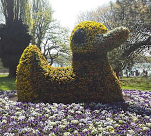 Mainau