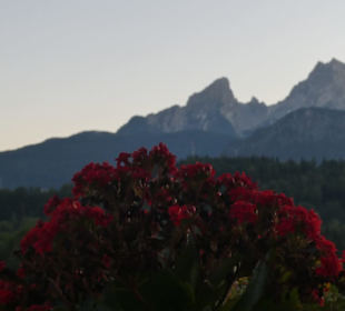 Restaurant Akropolis: Blick von der Terrasse
