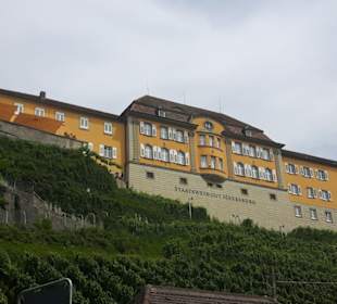 Staatsweingut Meersburg