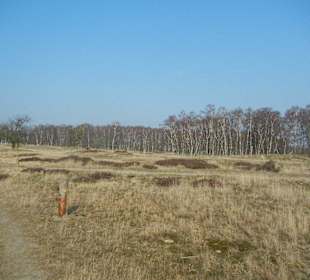 Wunderschöne Boberger Niederung