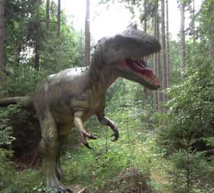 Dinosaurier Museum Altmühltal