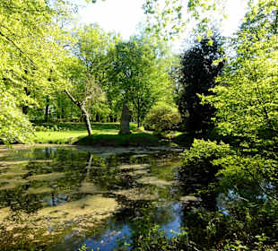 Spaziergang durch den Park Höpkensruh
