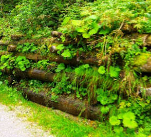 Sicherungen am Weg entlang