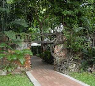 The Princess Mother Memorial Park: Suan Somdet Ya