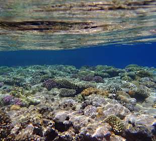 Einfach ein Traumhaftes Riff