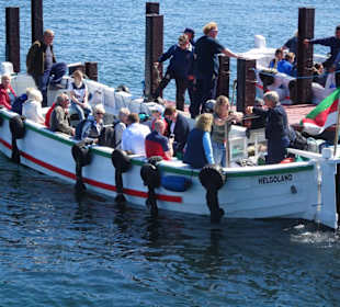 Impressionen von der Helgoländer Börte