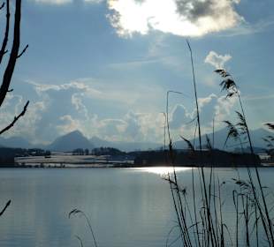 Rund um den Hopfensee 