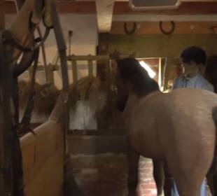 Erlebnispark Tripsdrill