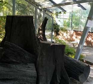 Botanischer Garten