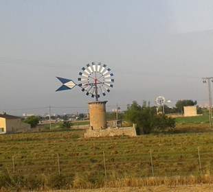 Typisches Wahrzeichen von Palma