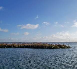 Nordufer am Kamper See