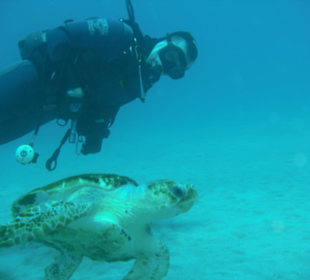 Mit "Acuarios" beim "Kröten"-Ausflug 