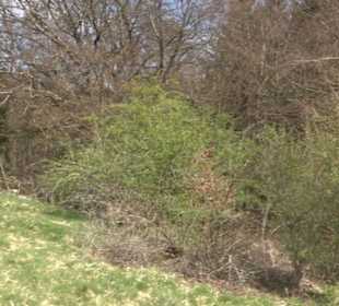 Naturreservat Beutenlay