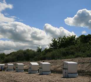 Strand von Boltenhagen