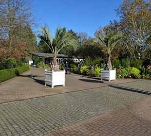 Der Eingangsbereich des Botanischen Gartens